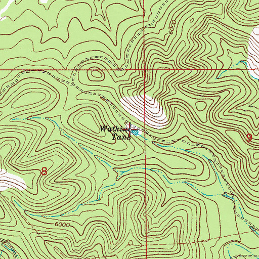Topographic Map of Watkins Tank, NM