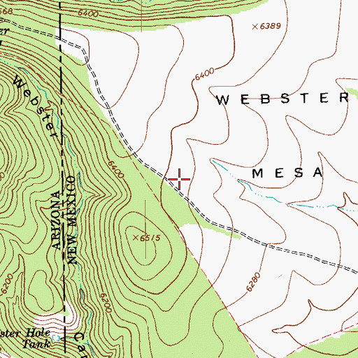 Topographic Map of Webster Mesa, NM