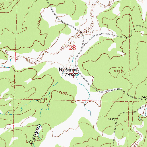 Topographic Map of Webster Tank, NM