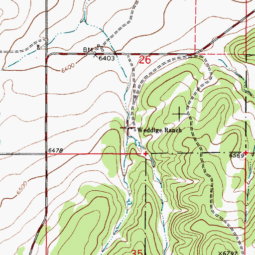 Topographic Map of Weddige Ranch, NM