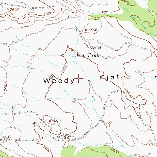 Topographic Map of Weedy Flat, NM
