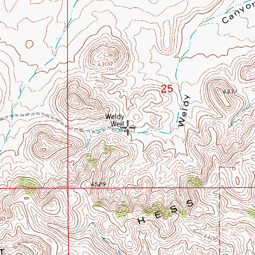 Topographic Map of Weldy Well, NM