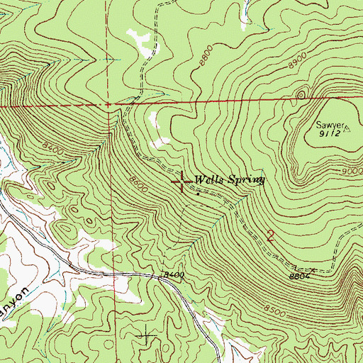 Topographic Map of Wells Spring, NM