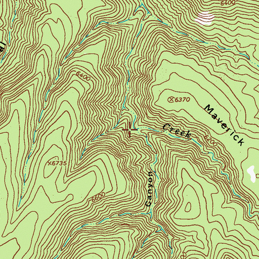 Topographic Map of West Canyon, NM