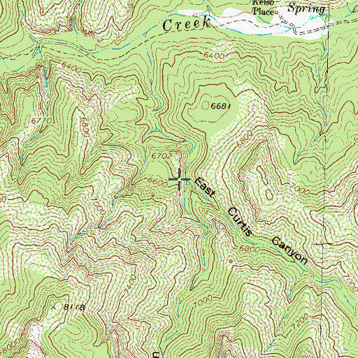 Topographic Map of West Curtis Canyon, NM