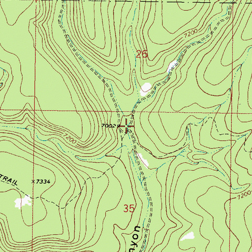 Topographic Map of West Fork Borrego Canyon, NM