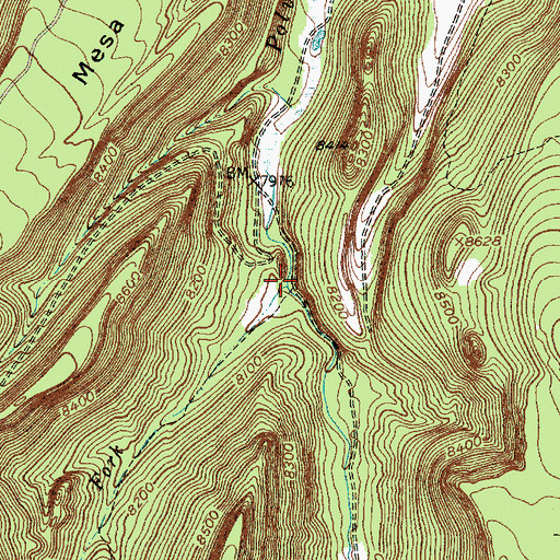 Topographic Map of West Fork Polvadera Creek, NM