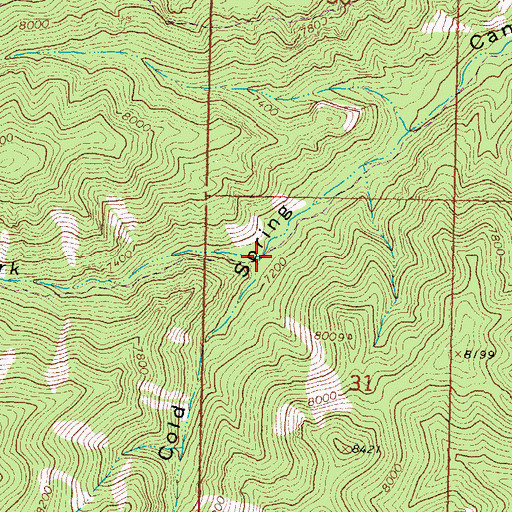 Topographic Map of West Fork Cold Spring Canyon, NM