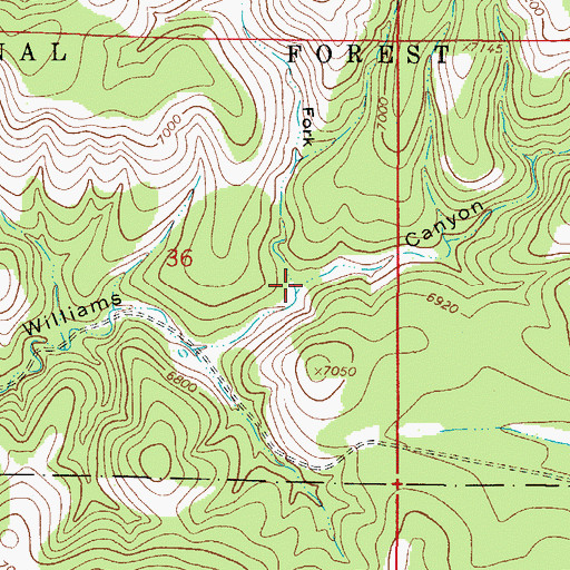 Topographic Map of West Fork Ben Williams Canyon, NM