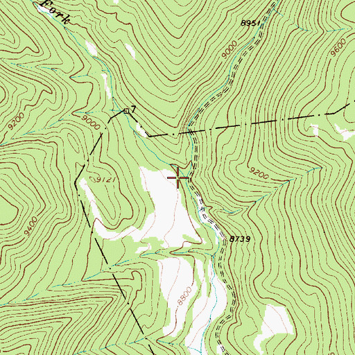 Topographic Map of West Fork Luna Creek, NM