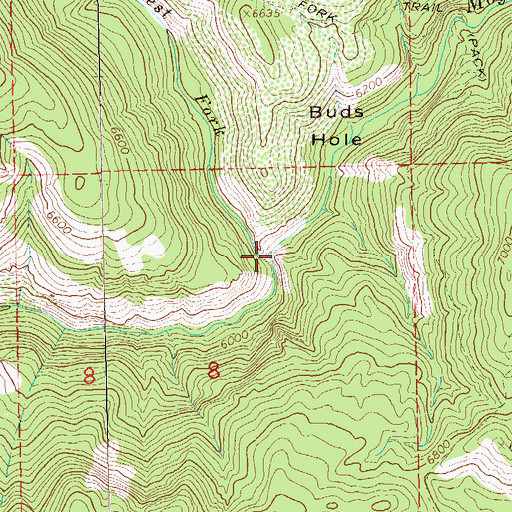 Topographic Map of West Fork Mogollon Creek, NM