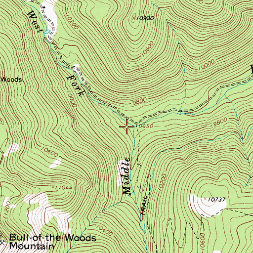 Topographic Map of West Fork Red River, NM