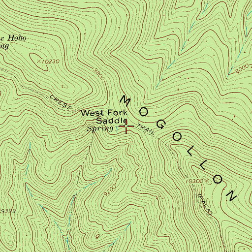 Topographic Map of West Fork Saddle, NM