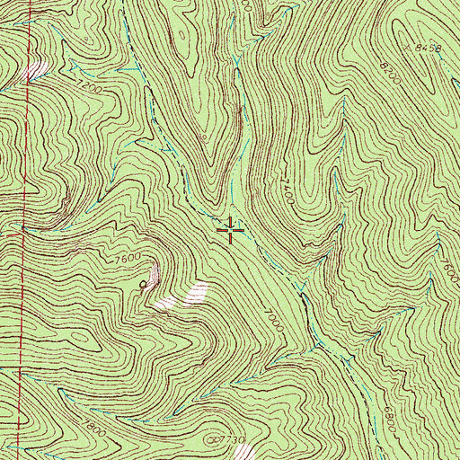 Topographic Map of West Fork Sawmill Canyon, NM