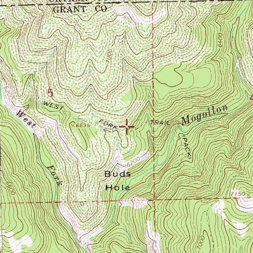 Topographic Map of West Fork Trail, NM