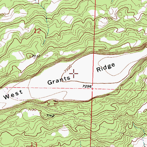 Topographic Map of West Grants Ridge, NM