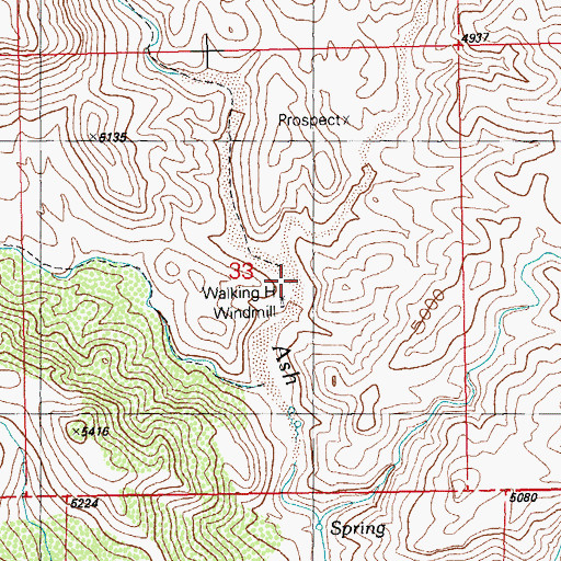Topographic Map of West Prong Ash Creek, NM