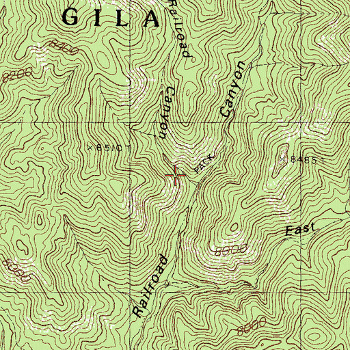 Topographic Map of West Railroad Canyon, NM