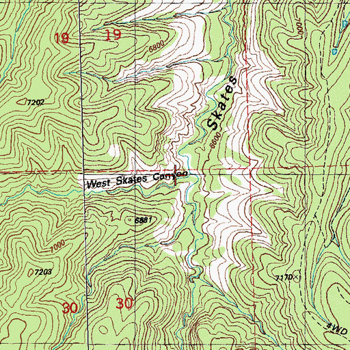 Topographic Map of West Skates Canyon, NM
