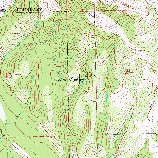 Topographic Map of West Tank, NM