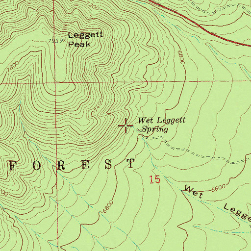 Topographic Map of Wet Leggett Spring, NM