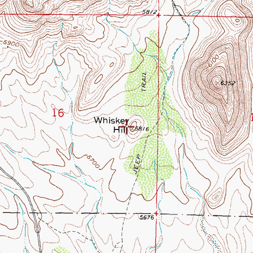 Topographic Map of Whiskey Hill, NM
