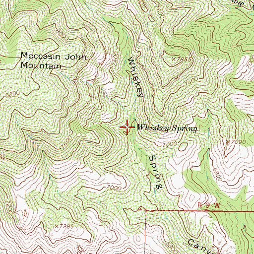 Topographic Map of Whiskey Spring, NM