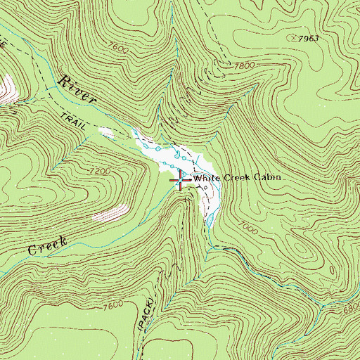 Topographic Map of White Creek Cabin, NM