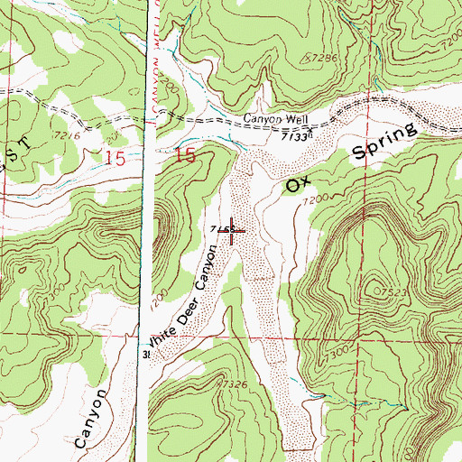 Topographic Map of White Deer Canyon, NM