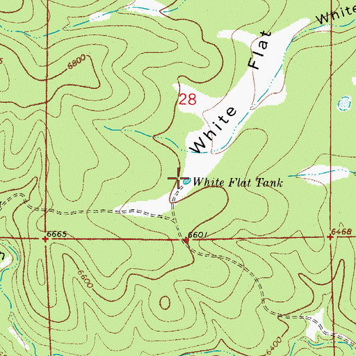 Topographic Map of White Flat Tank, NM
