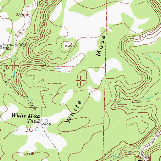 Topographic Map of White Mesa, NM