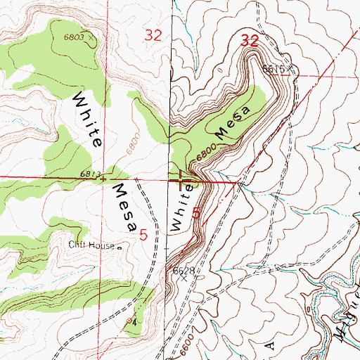 Topographic Map of White Mesa, NM