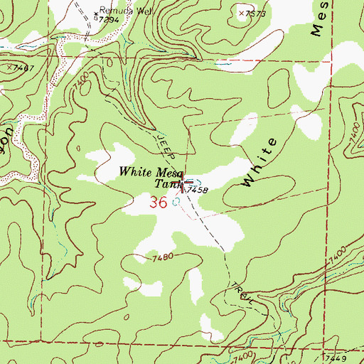 Topographic Map of White Mesa Tank, NM