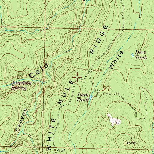Topographic Map of White Mule Ridge, NM