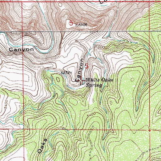 Topographic Map of White Oaks Spring, NM