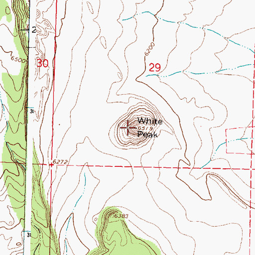 Topographic Map of White Peak, NM