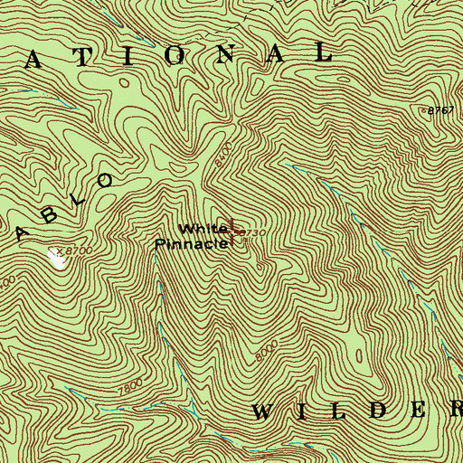 Topographic Map of White Pinnacle, NM