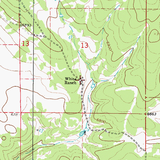 Topographic Map of White Ranch, NM