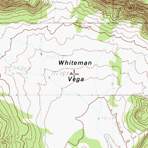 Topographic Map of Whiteman Vega, NM