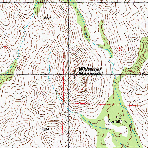 Topographic Map of Whiterock Mountain, NM