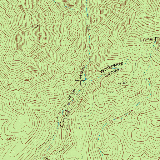 Topographic Map of Whiteside Canyon, NM