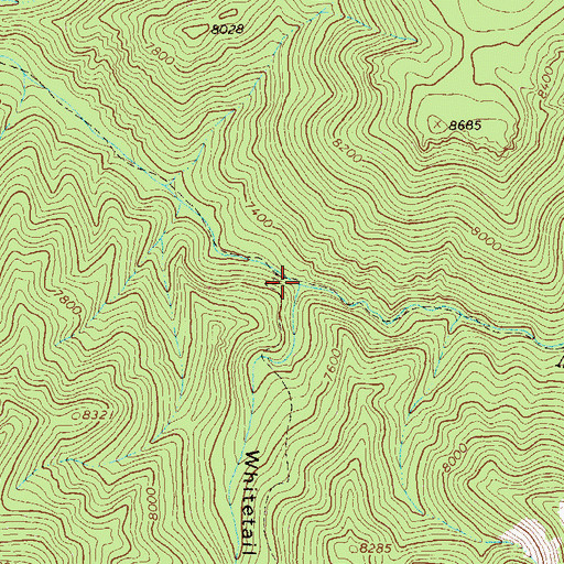 Topographic Map of Whitetail Canyon, NM