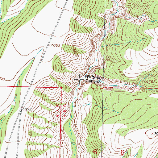 Topographic Map of Whitetail Canyon, NM