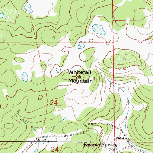 Topographic Map of Whitetail Mountain, NM