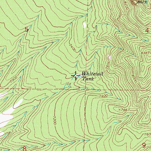 Topographic Map of Whitetail Tank, NM
