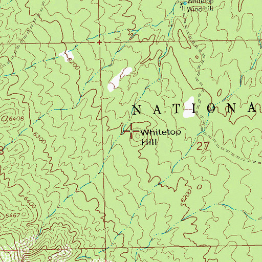 Topographic Map of Whitetop Hill, NM