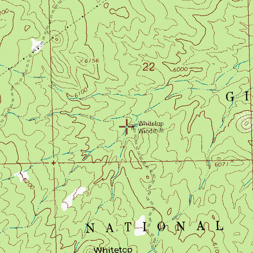 Topographic Map of Whitetop Windmill, NM