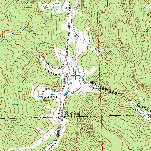 Topographic Map of Whitewater Canyon, NM