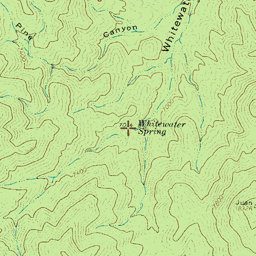 Topographic Map of Whitewater Spring, NM