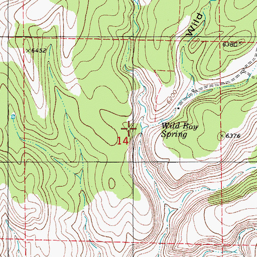 Topographic Map of Wild Boy Canyon, NM